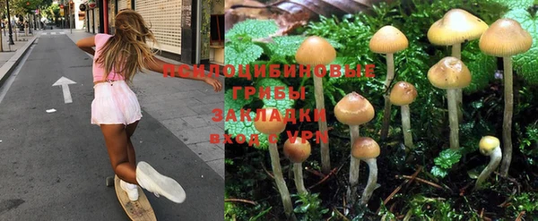 прущая мука Алзамай